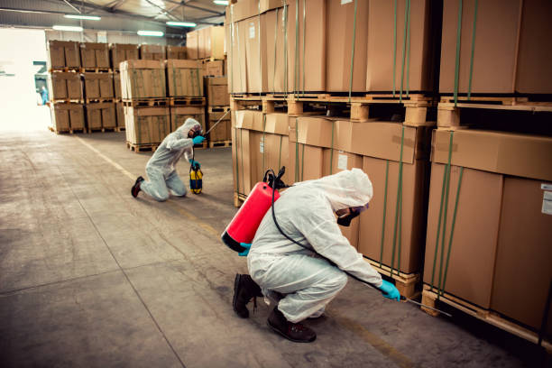 Best Rat Extermination Near Me  in Mchenry, IL