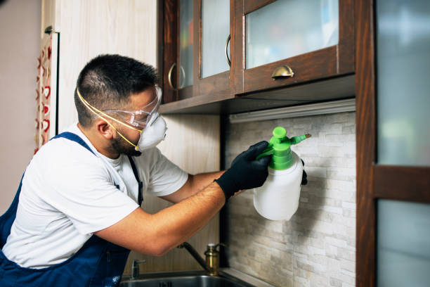 Best Exterminator Services  in Mchenry, IL