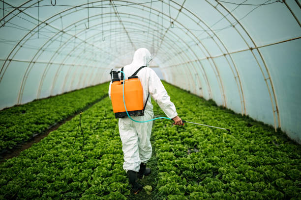Best Local Pest Control Services  in Mchenry, IL