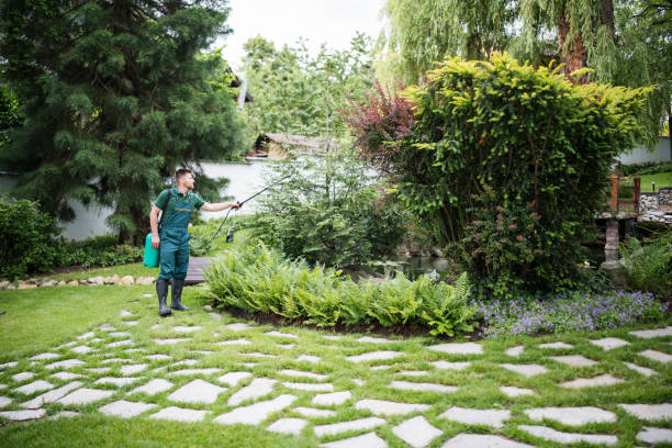 Best Emergency Pest Control  in Mchenry, IL