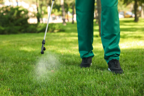 Best Pest Removal Services  in Mchenry, IL