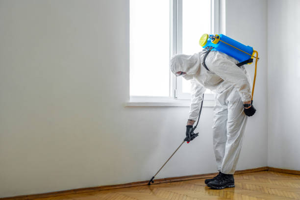 Best Bed Bug Extermination  in Mchenry, IL