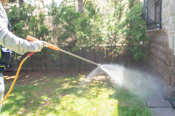 Best Mosquito Control Services  in Mchenry, IL