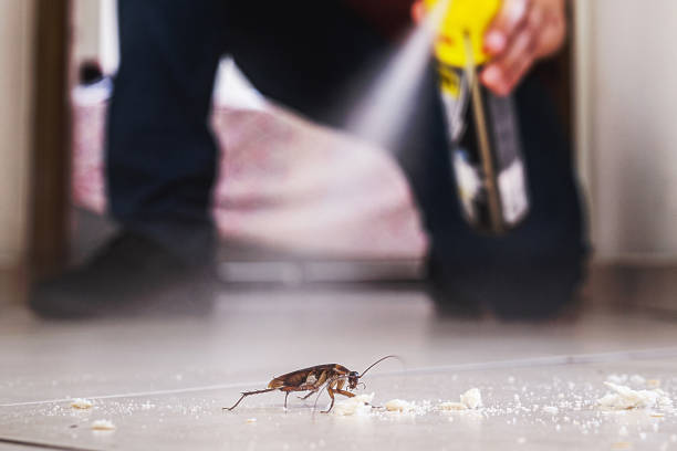 Best Wildlife Control Services  in Mchenry, IL